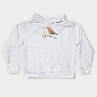 Watercolour European Robin & Branches Kids Hoodie